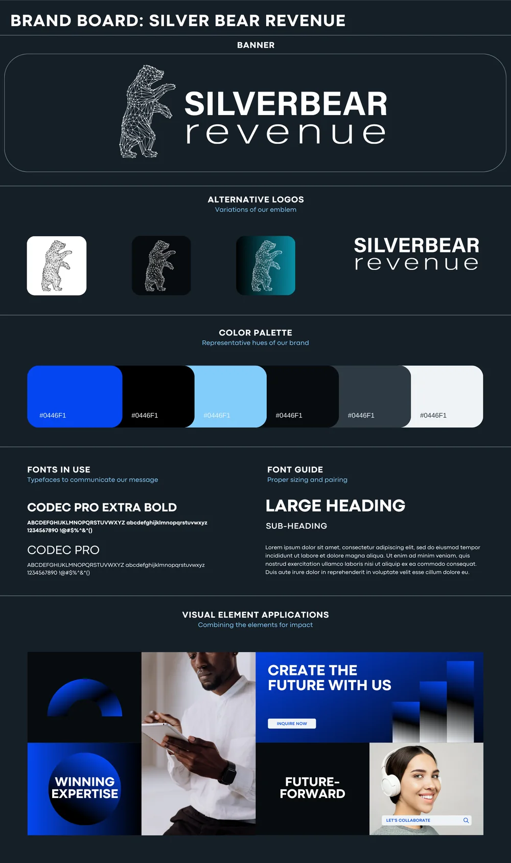 Silver Bear Revenue brand board: logo, alternative logos, color palette, fonts and visual applications